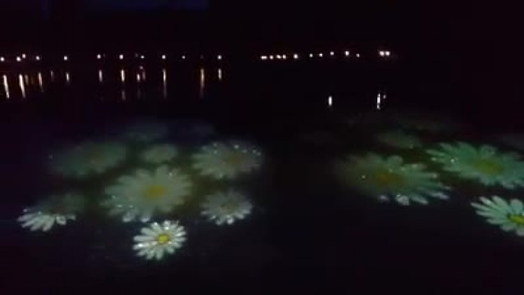 Kwiatowe iluminacje na stawie w Parku Miejskim w Zamościu