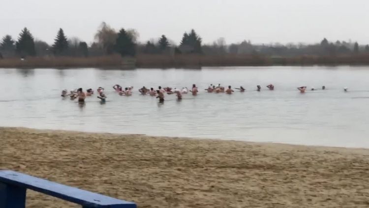 Morsy nad zalewem w Zamościu