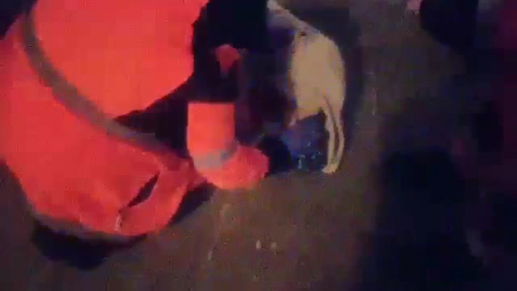 Interwencja służb po awanturze na Starym Mieście w Zamościu