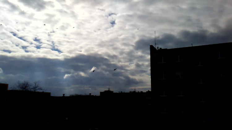 Przelot wojskowych śmigłowców nad Zamościem - 14 marca 2019 (mat. Łukasza Magryty)