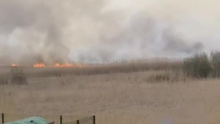 Pożar traw między ul. Lipską i Źródlaną w Zamościu - 9 kwietnia 2019 rok