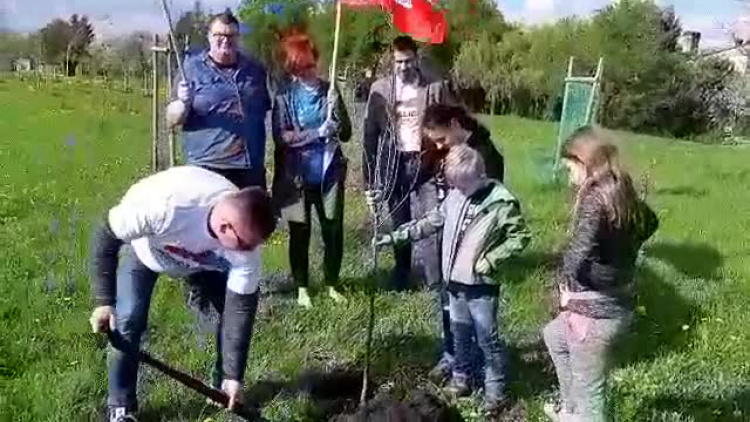 Polska 15 lat w UE. Sadzenie pamiątkowego dębu