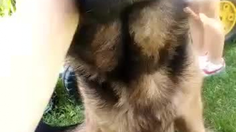 video-1565952926.mp4