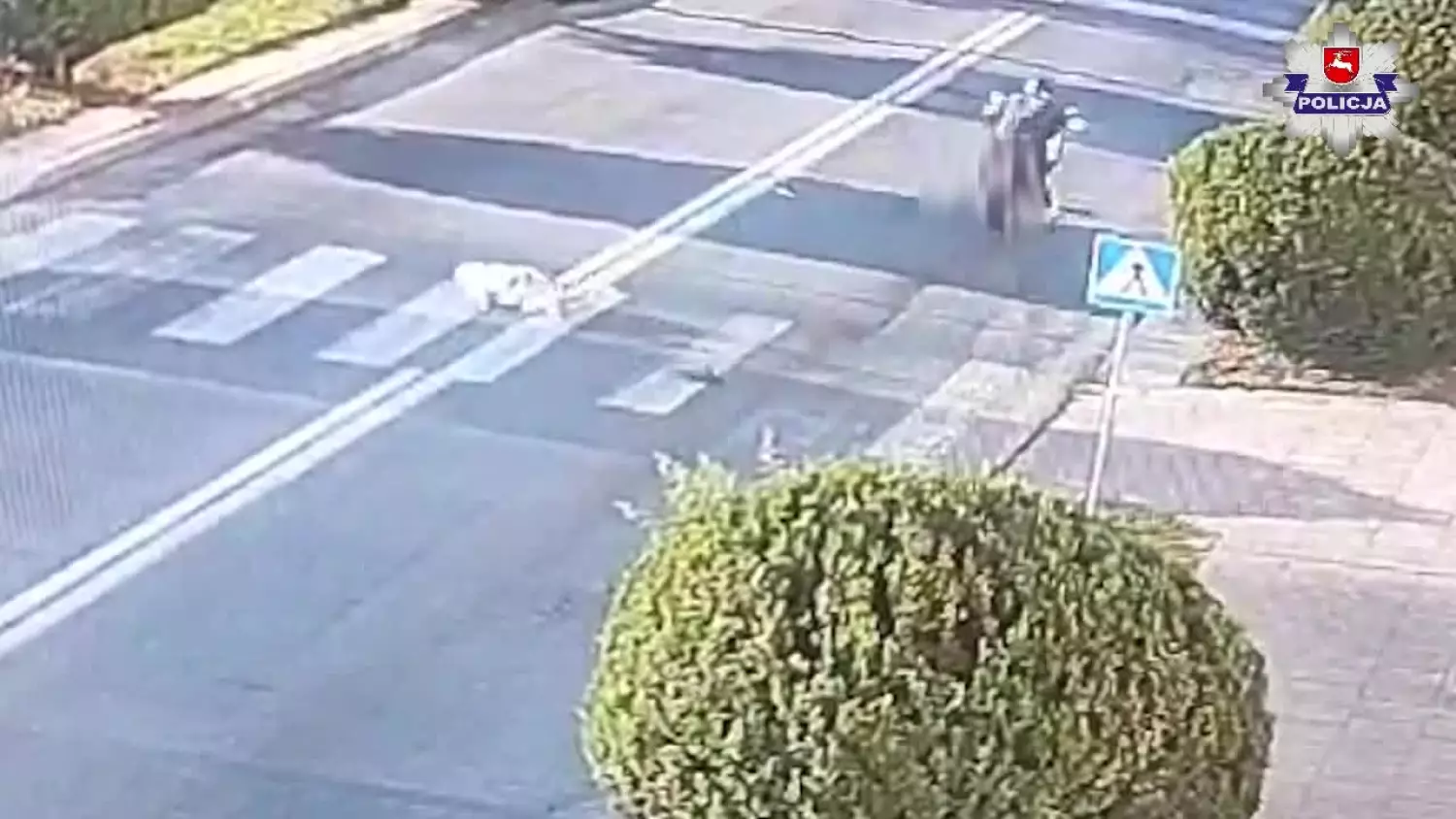 Zamość: Seniorka potrącona na przejściu przez 23-letniego motocyklistę