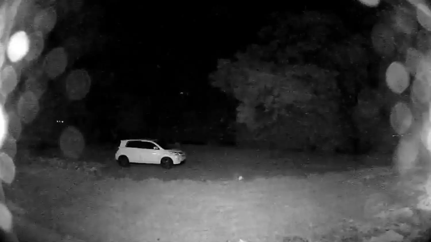 545057131-24586232437704637-7880189624124240246-n.mp4