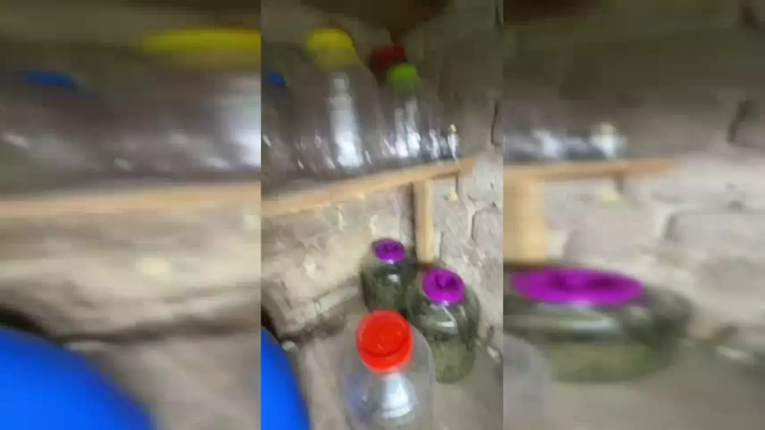 Nielegalna plantacja zlikwidowana przez policjantów